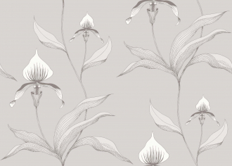 Обои Orchid
