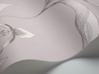 Обои Orchid