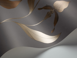 Обои Orchid
