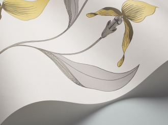 Обои Orchid