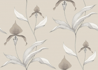 Обои Orchid