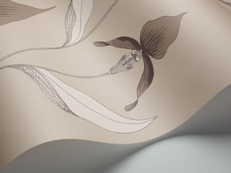 Обои Orchid