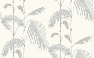 Обои Palm