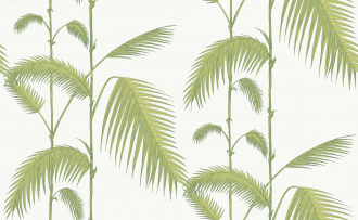 Обои Palm