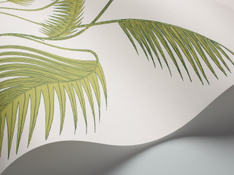 Обои Palm