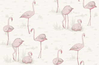 Обои Flamingos