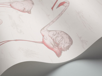 Обои Flamingos