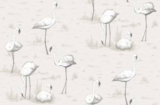 Обои Flamingos