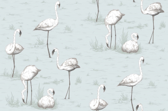 Обои Flamingos