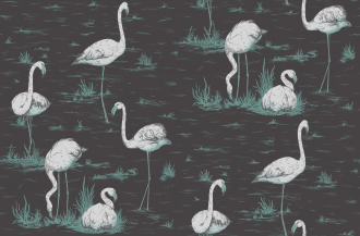 Обои Flamingos