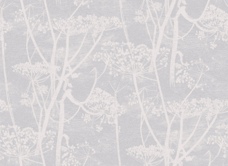 Обои Cow Parsley