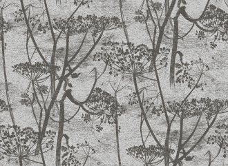 Обои Cow Parsley