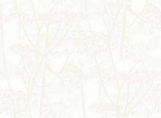 Обои Cow Parsley