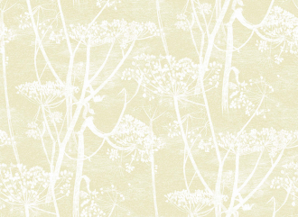 Обои Cow Parsley