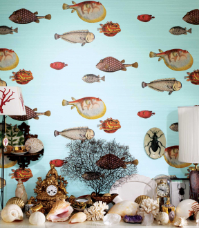 Обои Acquario