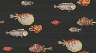 Обои Acquario