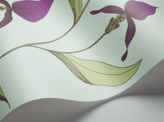 Обои Orchid