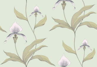 Обои Orchid