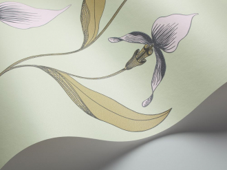 Обои Orchid