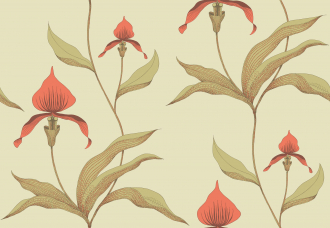 Обои Orchid