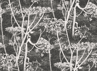 Обои Cow Parsley