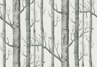 Обои Woods