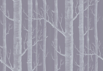 Обои Woods