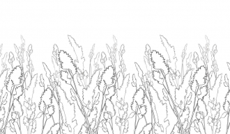 Фотообои Straws 180*265
