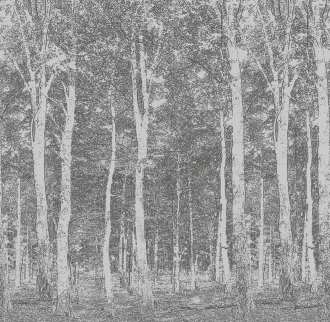 Фотообои Woods 270*265