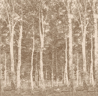 Фотообои Woods 270*265