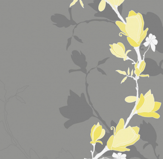 Фотообои Magnolia 270*265