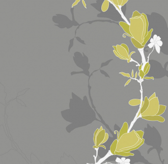 Фотообои Magnolia 270*265