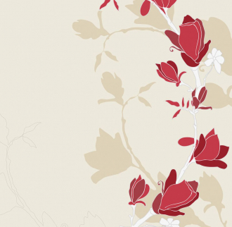 Фотообои Magnolia 270*265