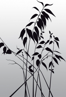 Фотообои Leaves 180*265