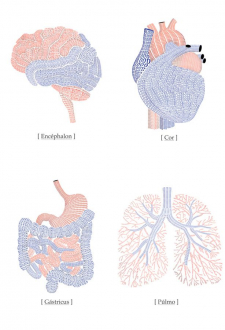 Фотообои Organs 180*265