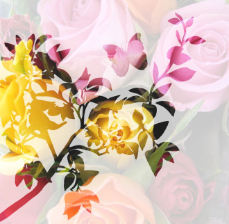 Фотообои Roses 270*265