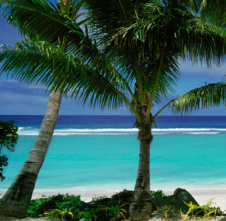 Фотообои Paradise View 270*265