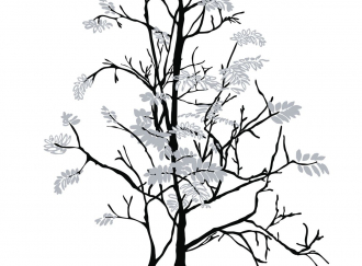 Фотообои Tender tree 360*265