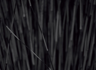 Фотообои Bamboo 360*265