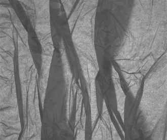 Фотообои Silk 315*265
