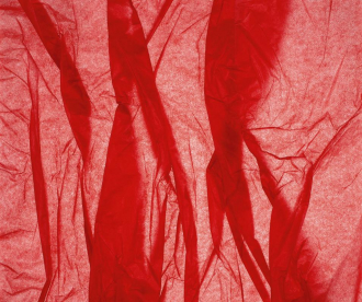 Фотообои Silk 315*265