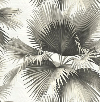 Обои «Palm Springs»