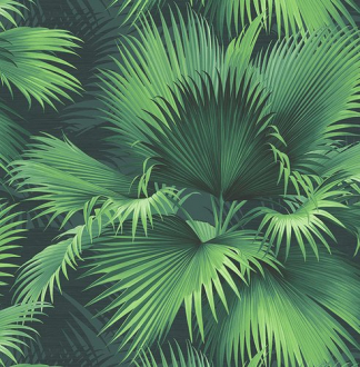 Обои «Palm Springs»