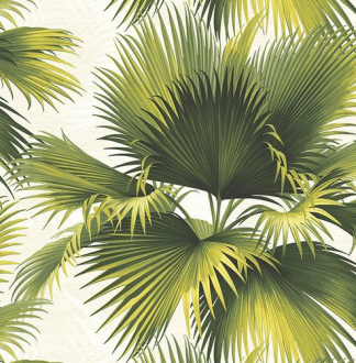 Обои «Palm Springs»