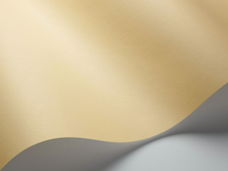 Обои «Pigment»