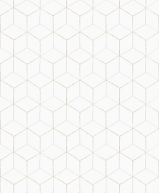 Обои «Vasarely»