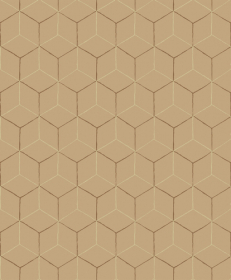 Обои «Vasarely»