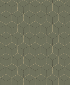 Обои «Vasarely»