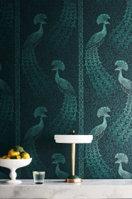 Обои Pavo parade