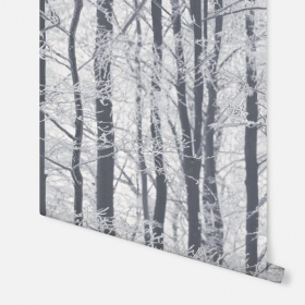 Обои «Frosted Wood Silver»